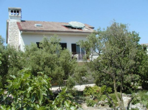 Gajic, Krk